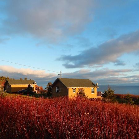 Les Chalets Brise-De-Mer Sainte-Therese-de-Gaspe Екстер'єр фото