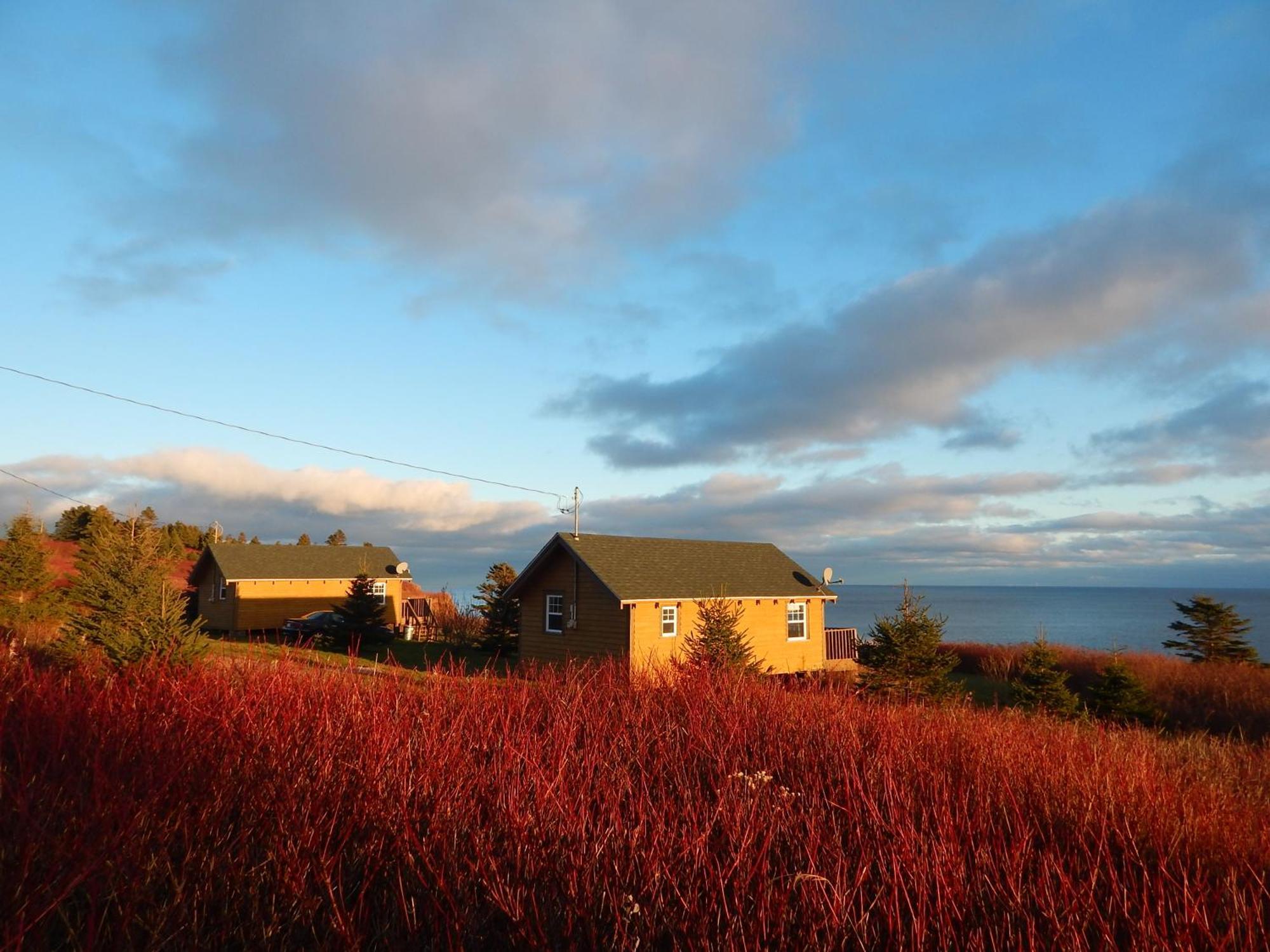 Les Chalets Brise-De-Mer Sainte-Therese-de-Gaspe Екстер'єр фото