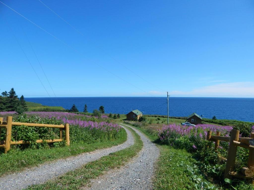 Les Chalets Brise-De-Mer Sainte-Therese-de-Gaspe Екстер'єр фото